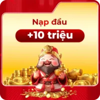 nạp đầu nohu